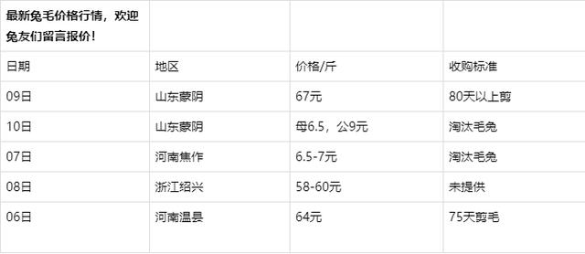 獭兔价格最新行情解析